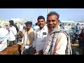 friday sheep market in badvel.శుక్రవారం బద్వేల్ సంత.