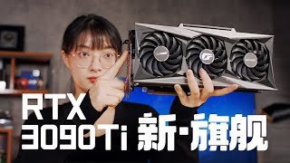 【新品首发】末代卡皇！RTX3090Ti首发评测（CC字幕）