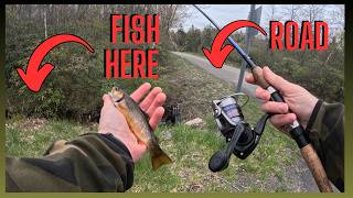 Roadside Ditch Brook Trout-Fishing Spot Hidden in Plain Sight #fishing #outdoors