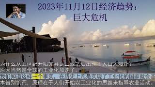 2023年11月12日经济趋势：巨大危机