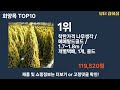 가장 많이 팔린 회양목 추천 top10