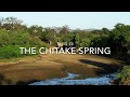 Chitake Springs | Mana Pools | Zimbabwe