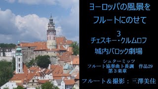 シュターミッツ：フルート協奏曲ト長調Op. 29第3楽章Mika Misawa/ Stamitz: Flute Concerto in G,  Op. 29, III Rondo. Allegro