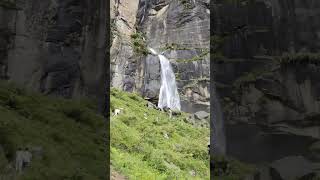 Manali Best Place to Visit Jogini Waterfall #manali #joginiwaterfall #travel #video #views #trekking