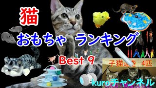 保護猫 子猫 を保護しました。猫おもちゃランキング Best 9