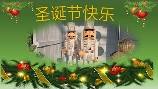 圣诞节装饰/点缀 | Christmas Decoration and atmosphere | 荷兰的圣诞气氛 | Kerst decoratie in Holland