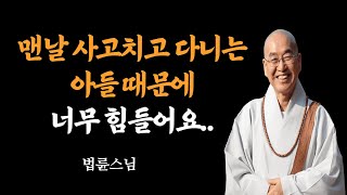 법륜스님 인생조언 ㅣ 큰 아들의 삶이 답답한 엄마에게