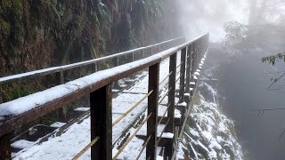 舅媽環島之旅  ep3  2025/1/29大年初一~宜蘭縣員山蓁巷社區~大同鄉崙埤河濱公園花海~太平山森林國家園區見晴懷古步道。#車泊 #環島