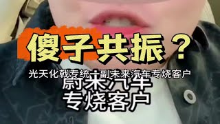 国产汽车应该如何面对傻子共振？