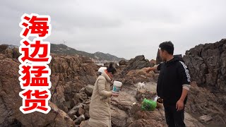 3位女粉体验赶海遇到猛货，美女徒手抓鳗鱼，阿钟回家给做海鲜宴