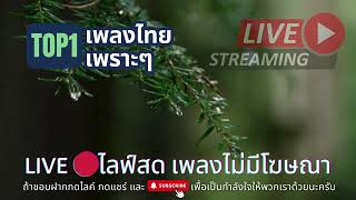 LIVE 🔴ฟังเพลง Acoustic ฟังยาวๆ ตลอด 24 ชั่วโมง