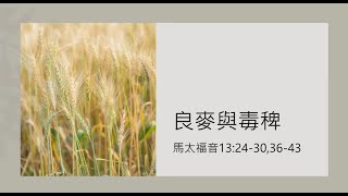 良麥與毒稗｜馬太福音 十三:24-30,36-43｜湖光基督教會 ｜ 文亮牧師