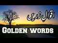 Golden words | amazing quotes in Urdu with English translation | words of wisdom | اقوال زریں