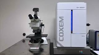 Microscope Vs SEM | Going BEYOND optical magnification