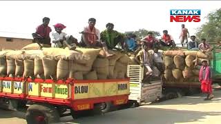 Farmers Face Problem Due To Distress Sale of Maize In Nabarangpur