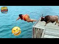 Hilarious People Life 😂 #21 | Instant Regret Fails Compilation 2024 - Try Not To Laugh