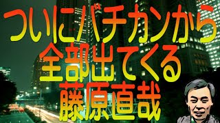 【ゆっくり解説】ついにバチカンから全部出てくる 藤原直哉