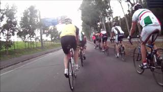 Bird Strike on the LACC Sunday ride