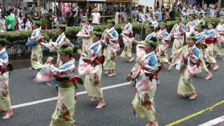 天空しなと屋　茜丸（2016スーパーよさこい・表参道アベニュー）