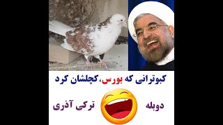 دوبله جالب ترکی آذری - کبوترانی که بورس، کچلشان کرد