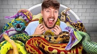 Hit The Target, Win $300,000 mr.beast