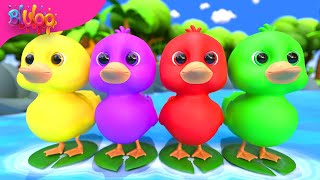 Five Little Ducks Song | Colorful Ducks | BluLoo Nursery Rhymes \u0026 Kids Songs