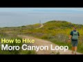 El Moro Canyon Loop Trail Guide (Crystal Cove SP)