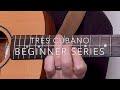 Tres Cubano Beginner Series No.3: Traditional & Modern Setups Explained | How To Tune Octave Pairs