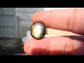 22.0ct. black star sapphire 12 rays*11833