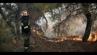 Λέσβος: Μαίνεται η φωτιά κοντά στο μοναστήρι του Αγίου Ραφαήλ | ΕΛΛΑΔΑ | iefimerida.gr