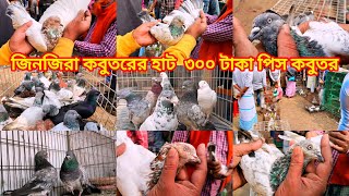 27/01/25জিনজিরা কবুতরের হাট  ৩০০ টাকা পিস কবুতর#pigeon #lover #shortvideo #kabootar #kabutar #birds