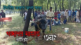 গঙ্গাধর মাহাত আগত টকরিয়া আসরে/ Gangadhar mahato raidih //