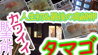 【販売所】たまご！人生初できっと最後かな・・・埼玉県カワイイ卵ショップ