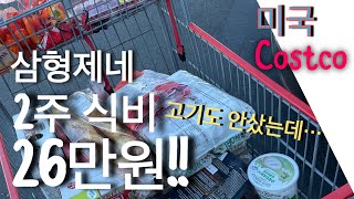 [미국일상 브이로그]코스트코/삼형제/ 고기도 안샀는데 30분만에 26만원쓰기!! / I spent $214 just 30min at Costco😭