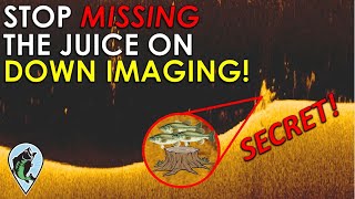What Cover Looks Like on Down Imaging | Bass Fishing Sonar Instruction and Down Imaging Explained