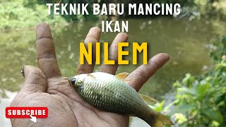 TEKNIK BARU MANCING IKAN NILEM