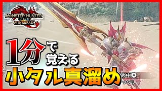 【大剣解説】1分でマスター出来る小タル真溜め【MHRS/サンブレイク体験版】