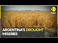 Ravaging drought leaves Argentina farmland parched | WION Climate News