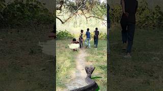 snake vfx video #youtubeshort #2024 #viral #magic #trending #funnyvideo Nag video Har Har Shambhu 🙏🙏