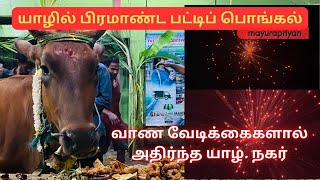 யாழில் வாண வேடிக்கைகளுடன் பட்டிப் பொங்கல் | Patti Pongal | Mayurapriyan | Jaffna