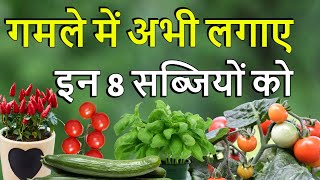 गमले में लगाए गर्मियों की इन 8 सब्जियों को। Grow these Summer Vegetable In Pots .