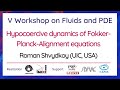 V Workshop on Fluids and PDE - September 30th, 2021 - Roman Shvydkoy