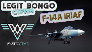 F-14A IRIAF СТРИМ  /  ЩУПАЕМ НОВИНКУ!