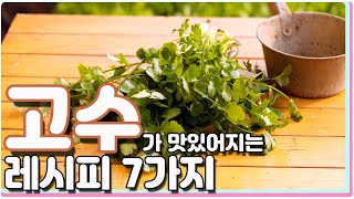 향신료 고수 맛있게 먹는  7가지 레시피 / 7 kinds Coriander cooking recipes