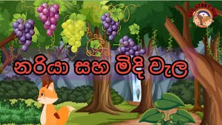 නරියා සහ මිදි වැල|ළමා කතන්දර| mariya saha midhi vela|sinhala kids story| sinhala lama kathandara