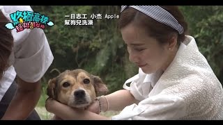 【犬貓公益之行! 小杰 廖允杰 Apple 黃暐婷 流浪動物之家 】超聯萌女神2 終極高校 11