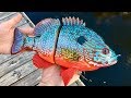 Making a LongEar SunFish Lure | World Record Size