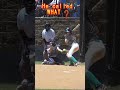 Umpire Calls Batter Hit by Pitch  YOU BE THE JUDGE #shorts #fastpitch