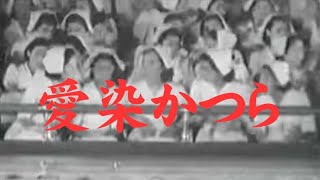 愛染かつら（1938）主演・田中絹代　上原謙【Full Movies】