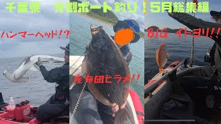 【東京湾　内房】千葉県　分割ボート釣行　#19  5月の総集編！！　いろいろ釣ってみた